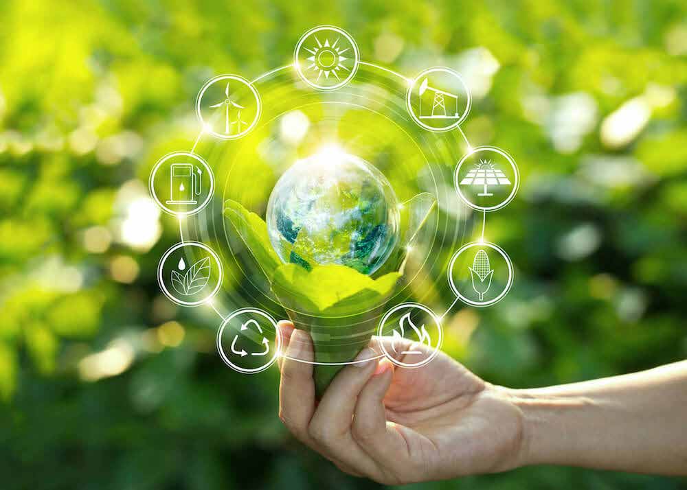 Sustainable green environment and eco-system services